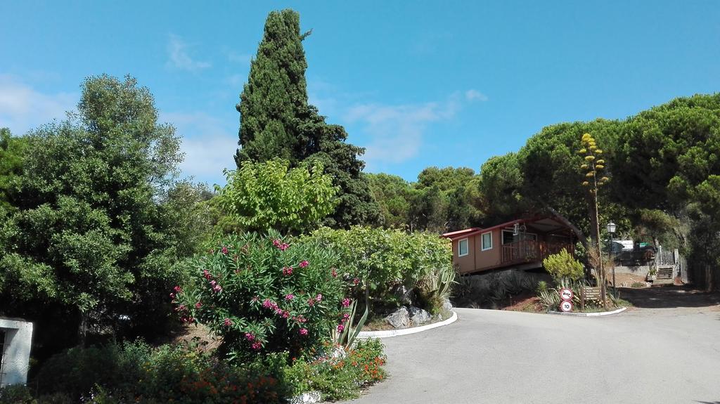Camping Kanguro Sant Pol De Mar Εξωτερικό φωτογραφία